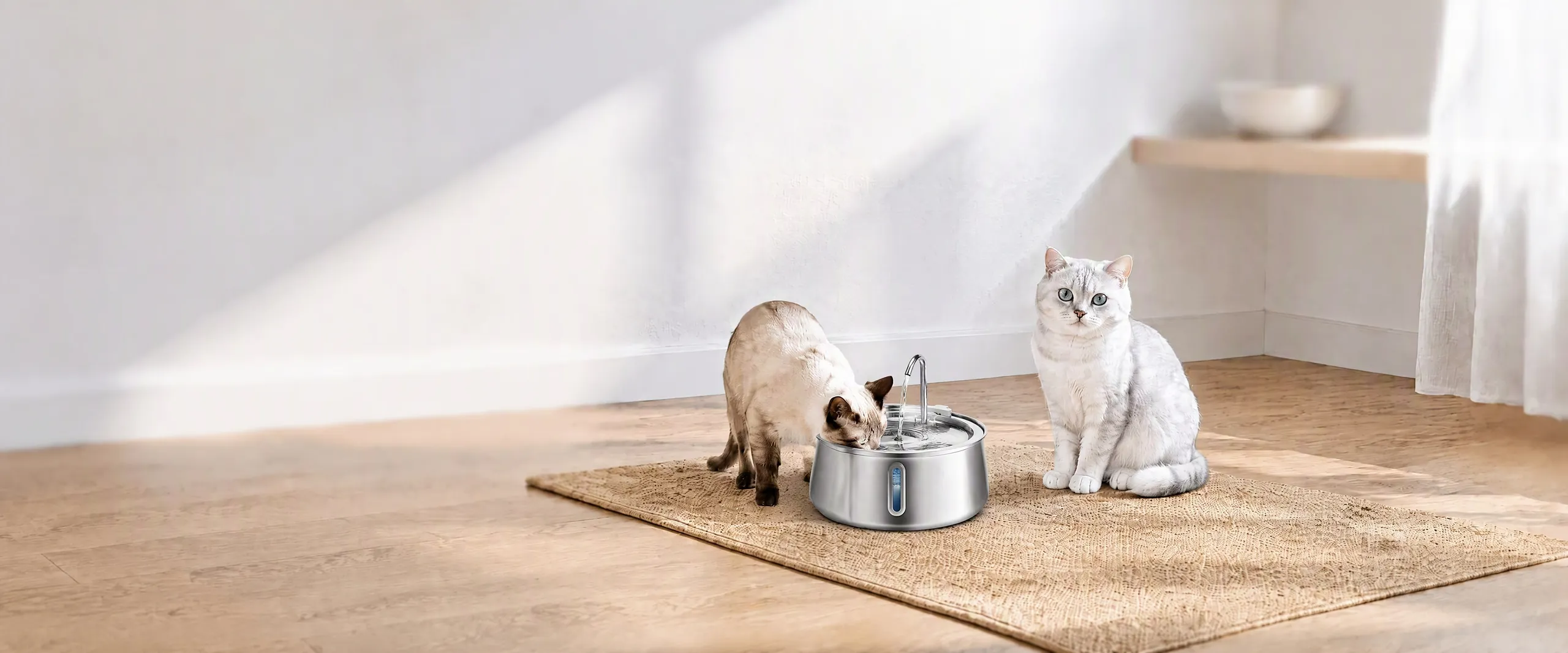iPawLink 恒温加热不锈钢饮水机，猫只正在饮用 28℃ 温水